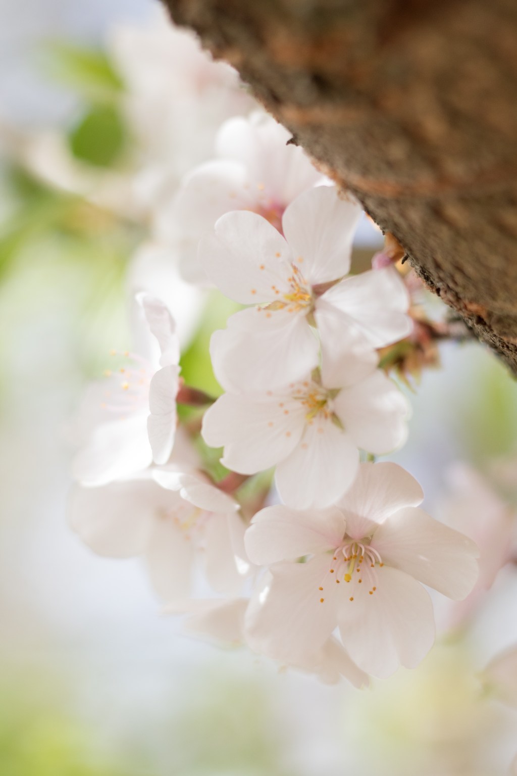 Filling Units, Interviewing Property Managers, and Getting Ready for a Refinance: A Weekly&nbsp;Update